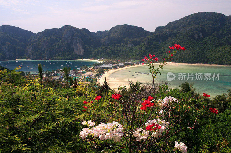 Koh Phi Phi岛和鲜花，泰国